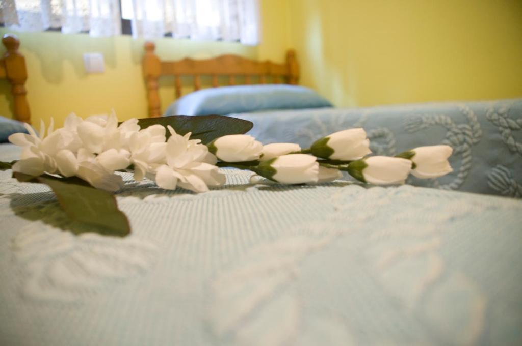Pension Aries II Cuenca  Rom bilde